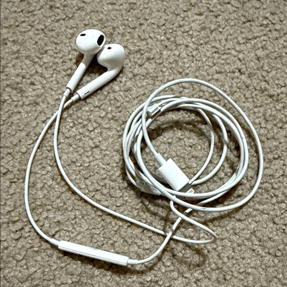 Apple Earbuds